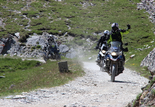 IMG 7927