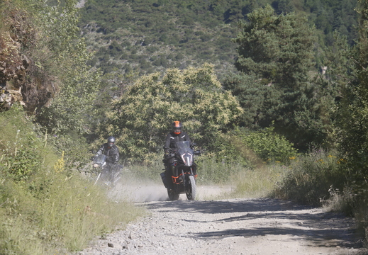  MG 0074