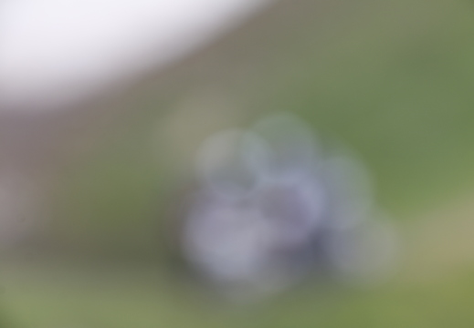  MG 0399