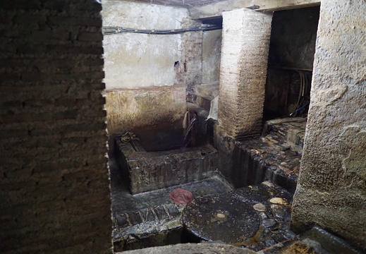 DSC00176