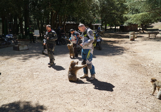 DSC00185