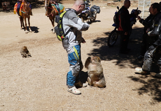 DSC00188