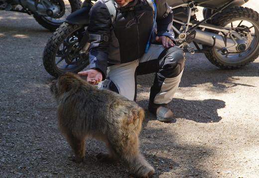 DSC00191