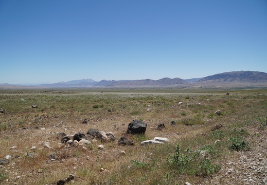DSC00216