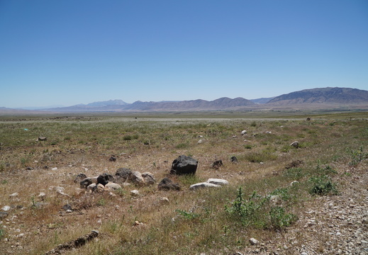 DSC00217