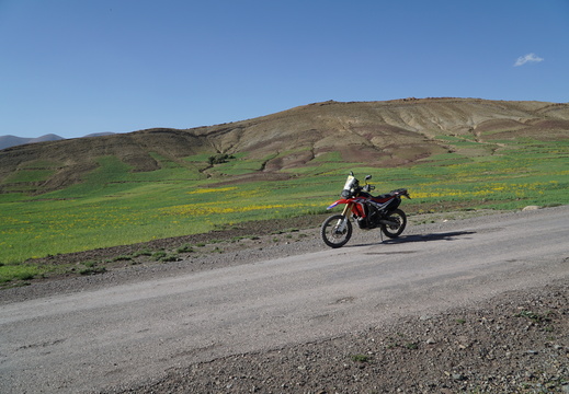 DSC00238