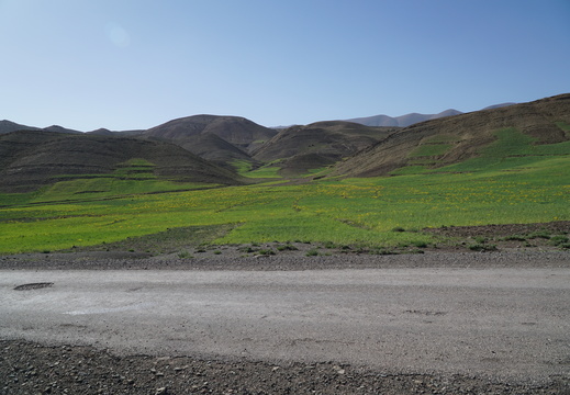 DSC00239