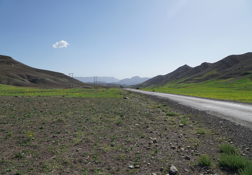 DSC00240