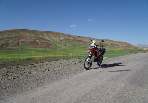 DSC00241