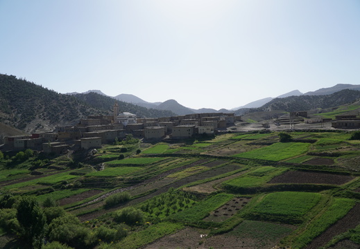DSC00251