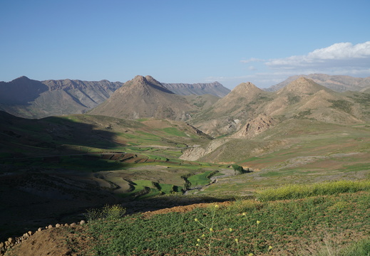 DSC00269