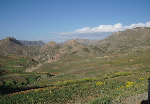 DSC00270