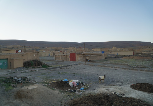 DSC00281