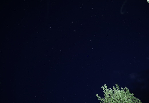 DSC00291
