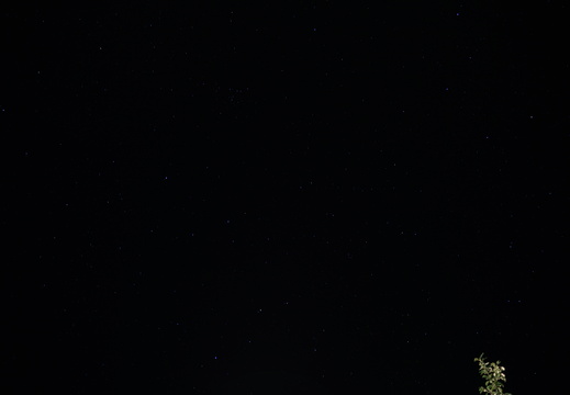 DSC00293