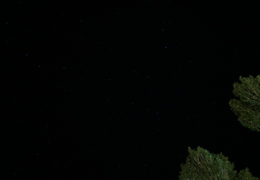 DSC00295
