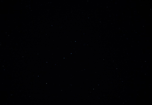 DSC00297