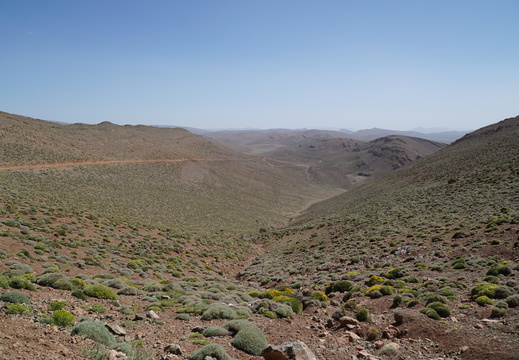 DSC00307