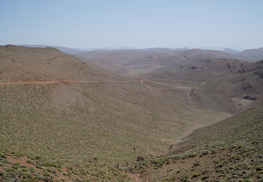 DSC00308