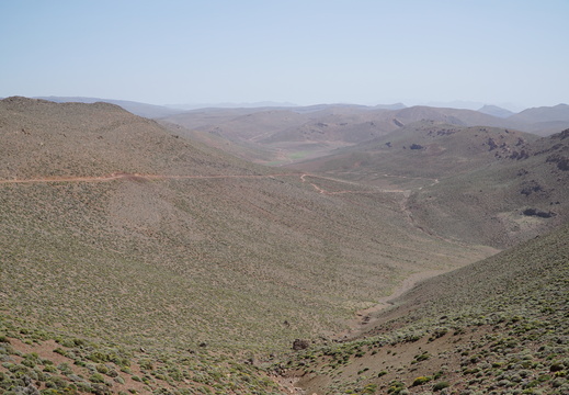 DSC00309