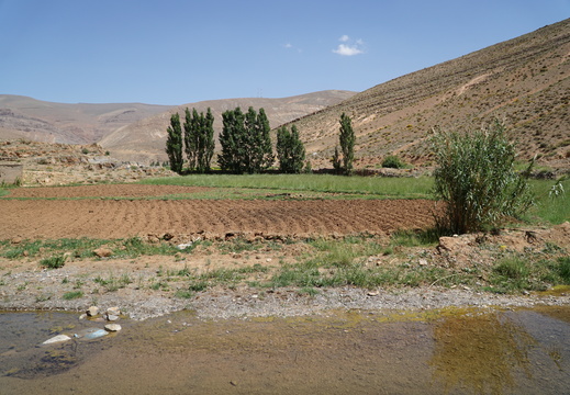 DSC00346