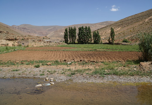 DSC00349