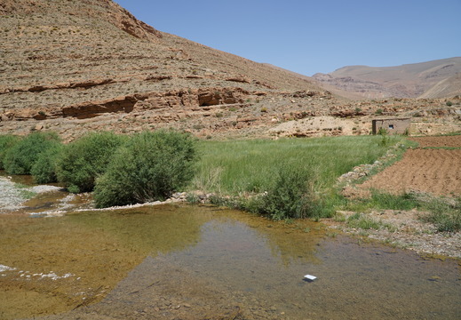 DSC00350