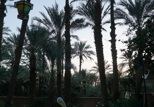 DSC00368