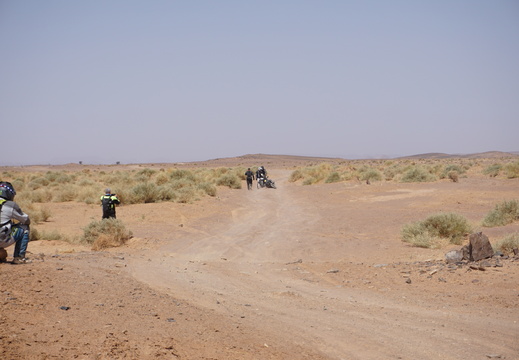 DSC00384