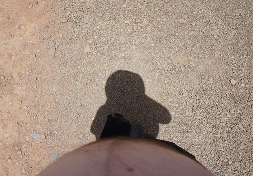 DSC00395