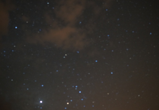 DSC00422
