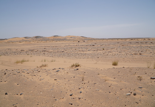 DSC00441