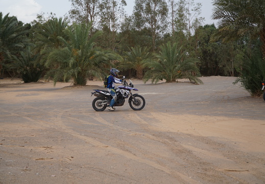 DSC00457