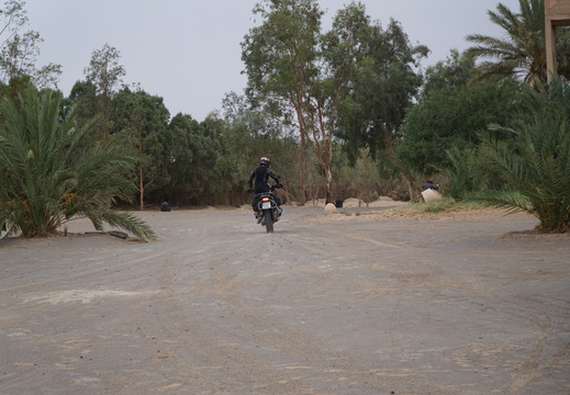 DSC00459