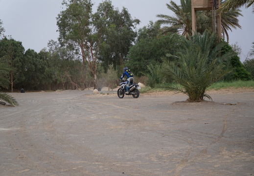 DSC00460
