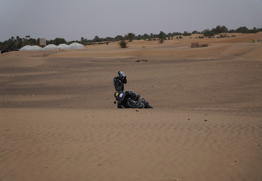 DSC00463