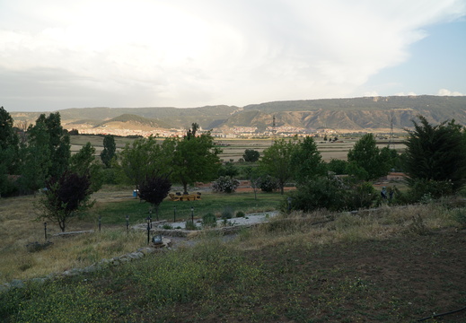 DSC00533
