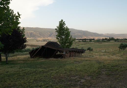 DSC00543