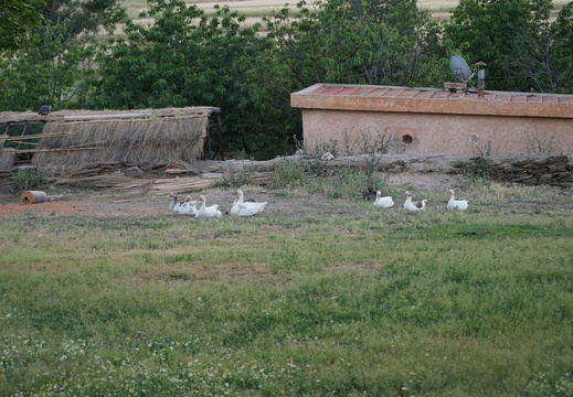 DSC00544