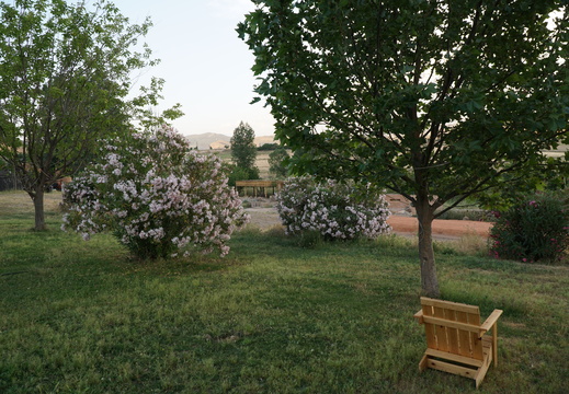 DSC00545