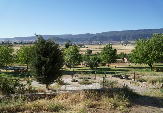 DSC00554