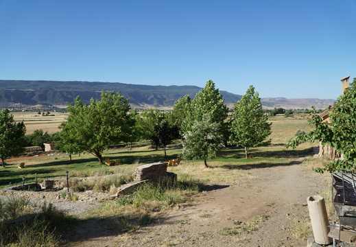 DSC00555