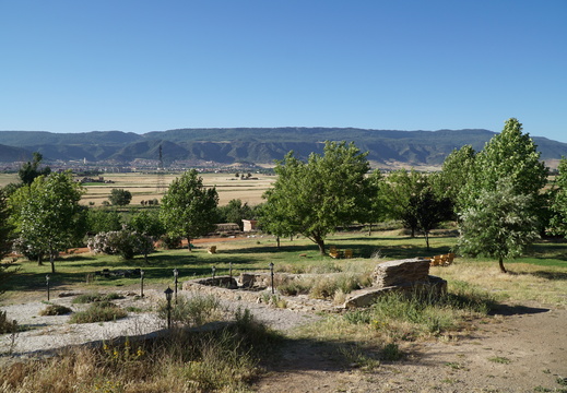 DSC00556