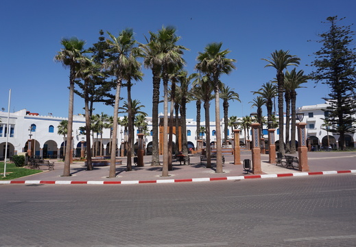 DSC00557