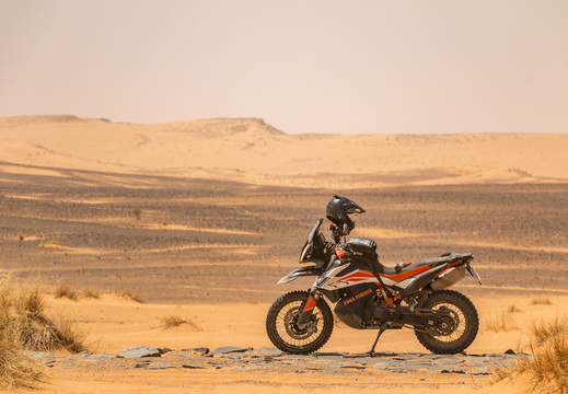 790 desierto 2