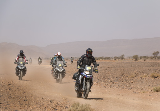 grupo desierto