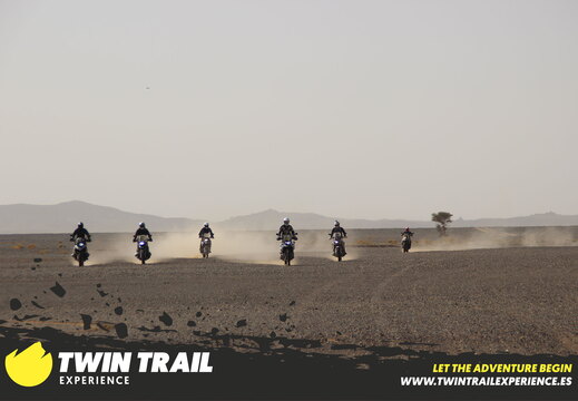 IMG 0441