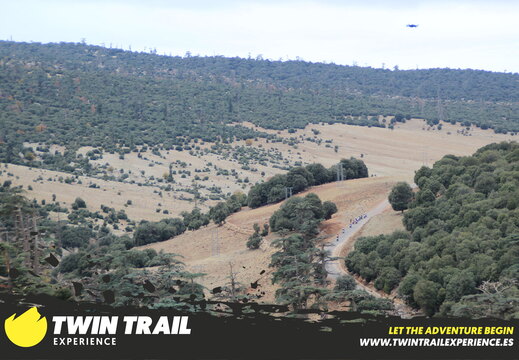 IMG 9886