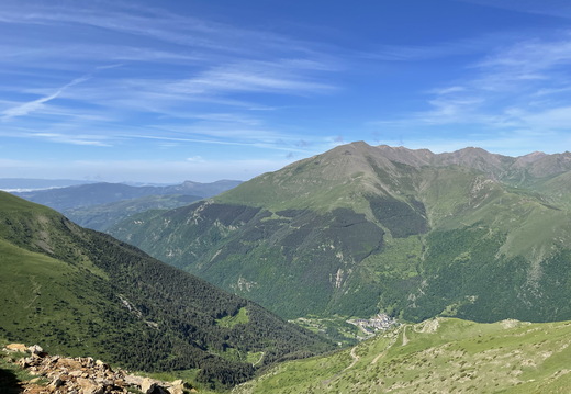 IMG 0005