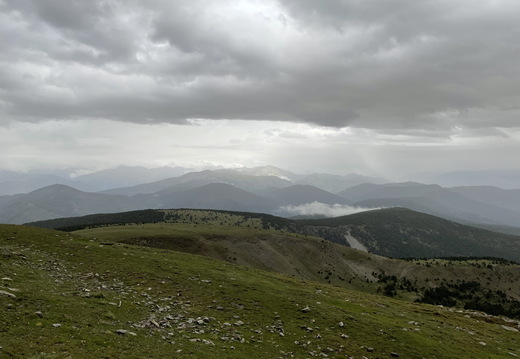 IMG 0108